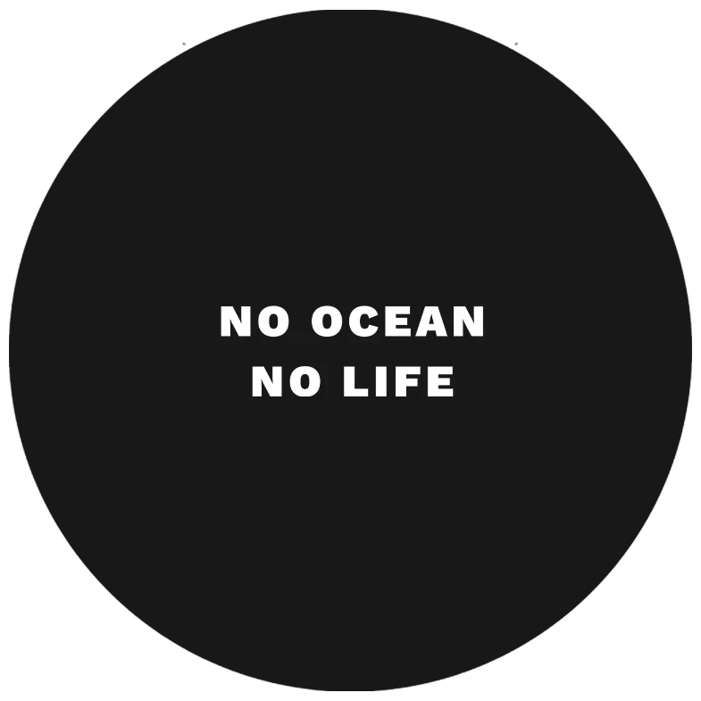 No Ocean No Life Hoodie - Trage das Meer - Image 2